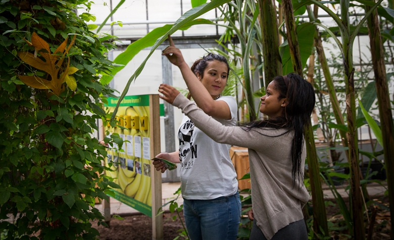 Deux élèves observent une plante dans la serre tropicale du „Weltgarten Witzenhausen“