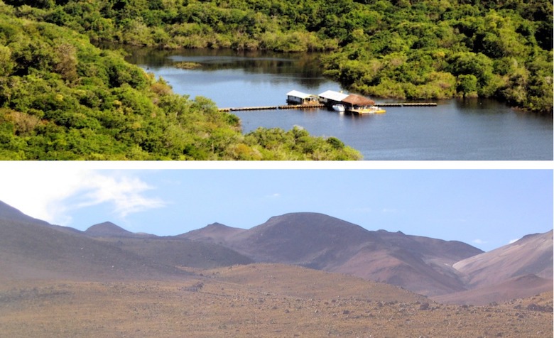 zwei verschiedenen Landschaften, Atacama Wüste und Amazonas Regenwald